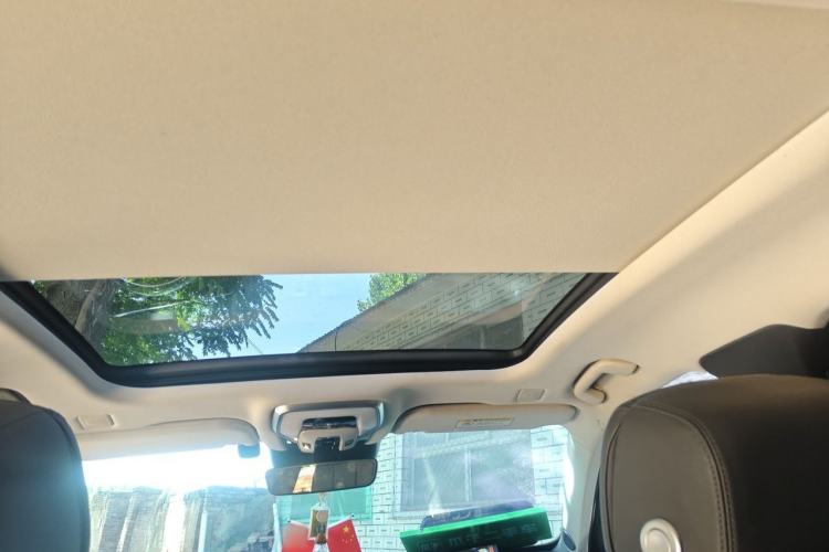 Used Hongqi H9 2022 2.0T Smart Connect Flagship Edition Headliner