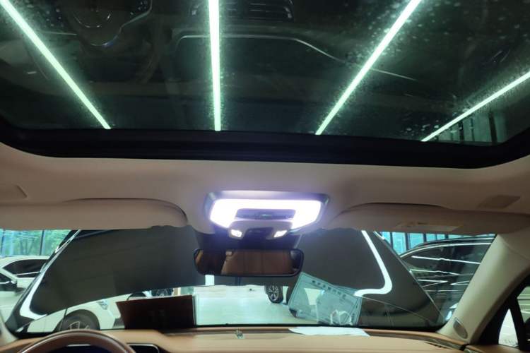 Used Hongqi H9 2022 2.0T Smart Connect Flagship Edition Headliner