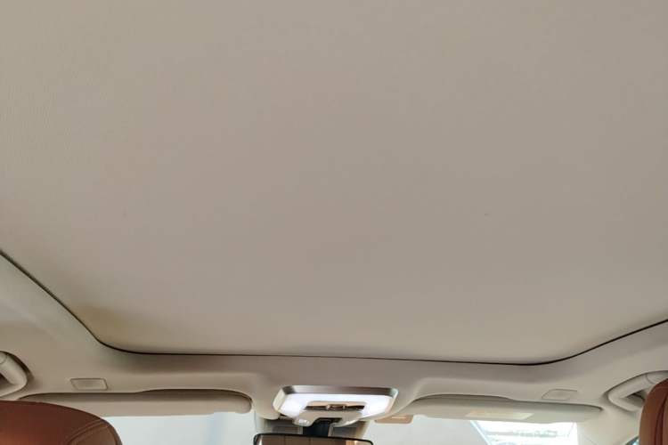 Used Hongqi H9 2022 2.0T Smart Connect Flagship Edition Headliner