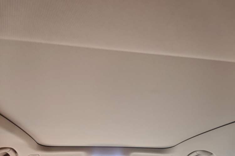 Used Hongqi H9 2022 2.0T Smart Connect Flagship Edition Headliner