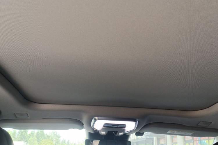 Used Hongqi H9 2022 2.0T Smart Connect Flagship Edition Headliner