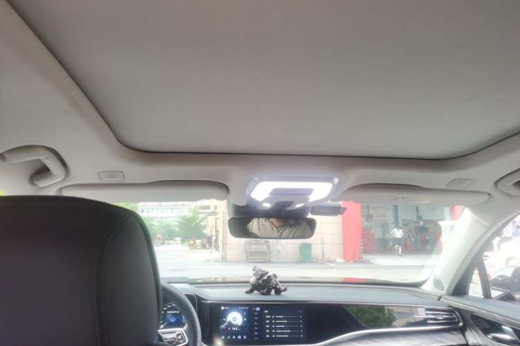 Used Hongqi H9 2022 2.0T Smart Connect Flagship Edition Headliner