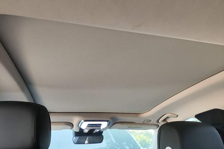 Used Hongqi H9 2022 2.0T Smart Connect Flagship Edition Headliner