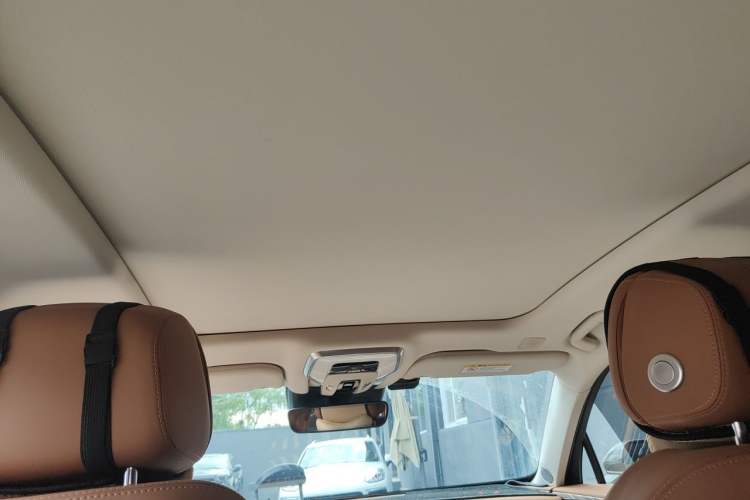 Used Hongqi H9 2022 2.0T Smart Connect Flagship Edition Headliner