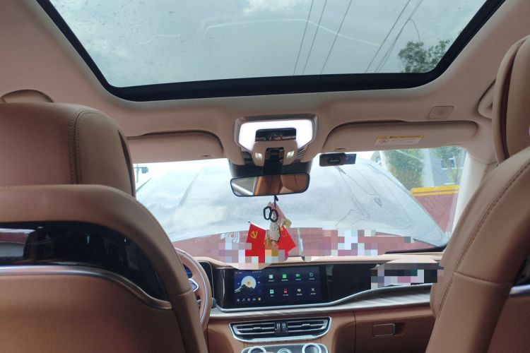 Used Hongqi H9 2022 2.0T Smart Connect Flagship Edition Headliner
