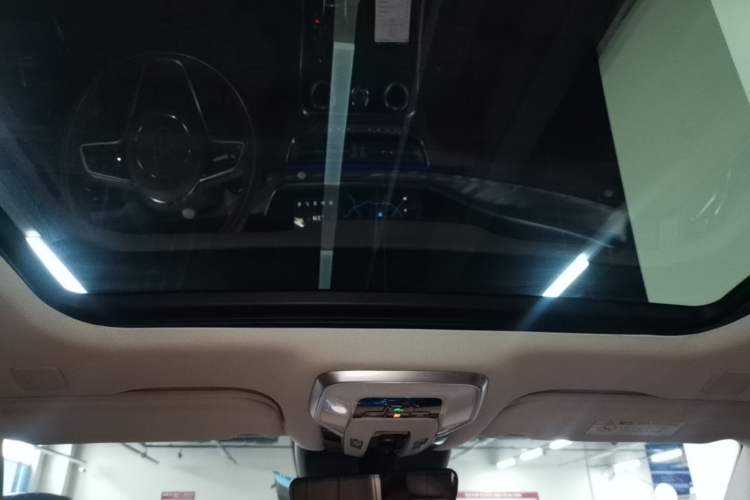 Used Hongqi H9 2022 2.0T Smart Connect Flagship Edition Headliner