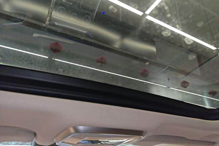 Used Hongqi H9 2022 2.0T Smart Connect Flagship Edition Headliner