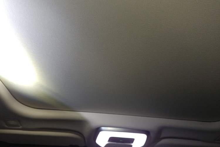 Used Hongqi H9 2022 2.0T Smart Connect Flagship Edition Headliner