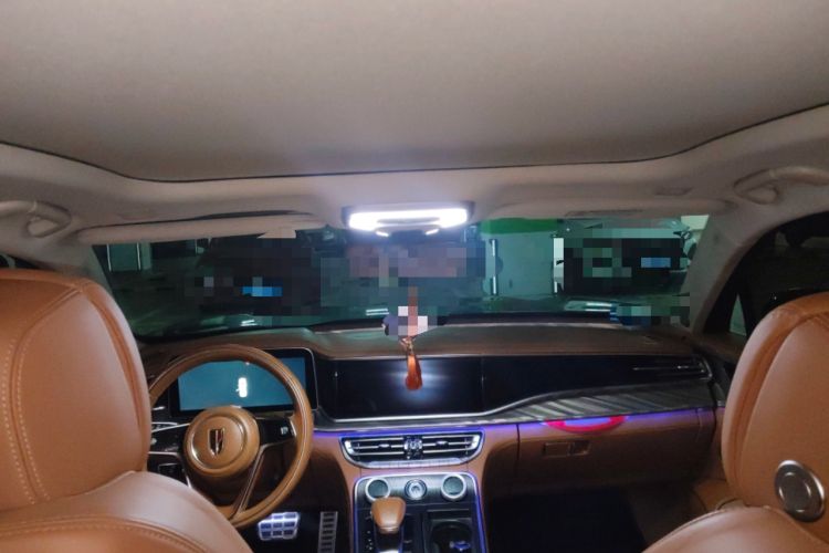 Used Hongqi H9 2022 2.0T Smart Connect Flagship Edition Headliner