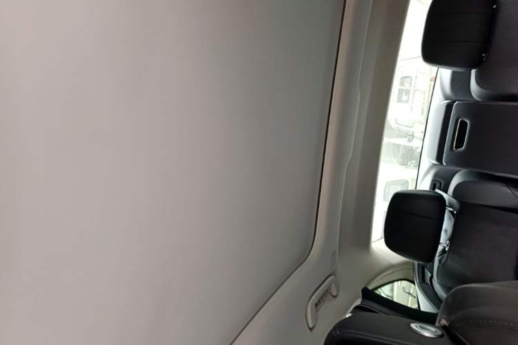 Used Hongqi H9 2022 2.0T Smart Connect Flagship Edition Headliner