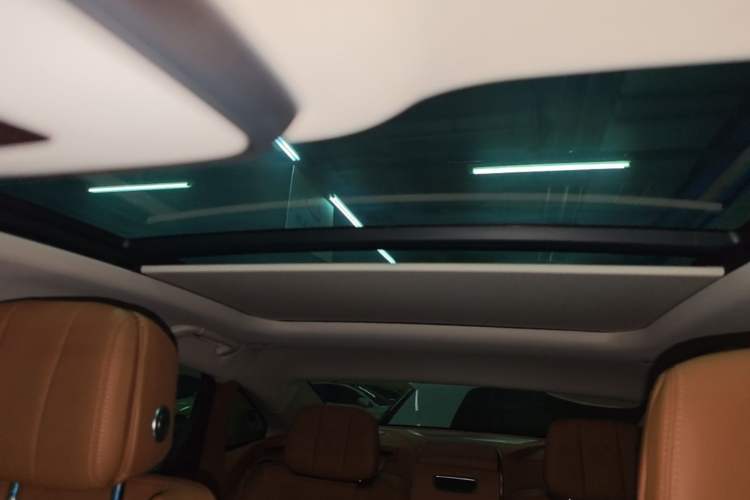 Used Hongqi H9 2022 2.0T Smart Connect Flagship Edition Headliner