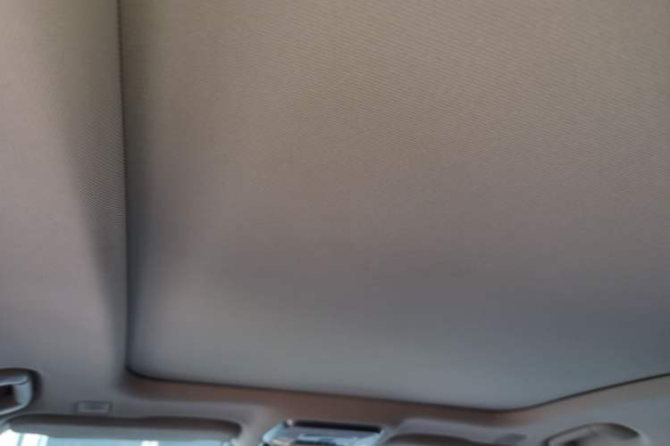 Used Hongqi H9 2022 2.0T Smart Connect Flagship Edition Headliner