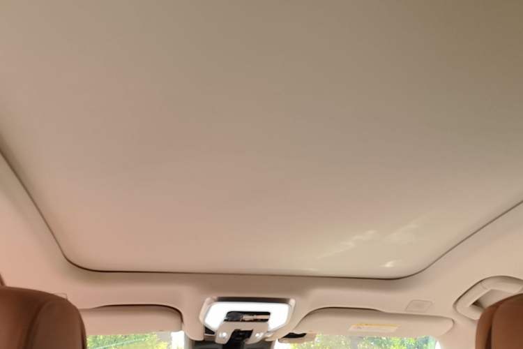 Used Hongqi H9 2022 2.0T Smart Connect Flagship Edition Headliner