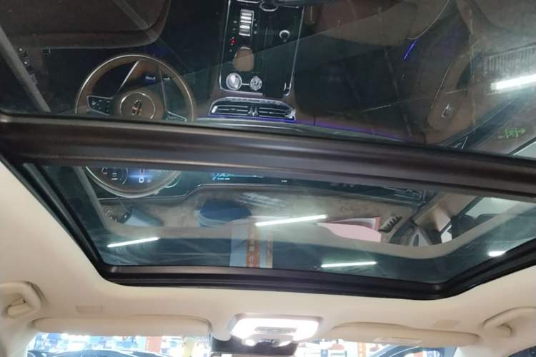 Used Hongqi H9 2022 2.0T Smart Connect Flagship Edition Headliner