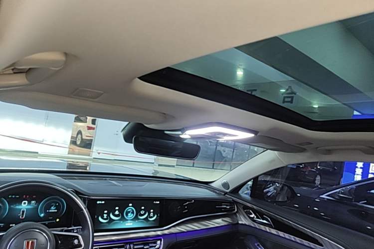 Used Hongqi H9 2022 2.0T Smart Connect Flagship Edition Headliner