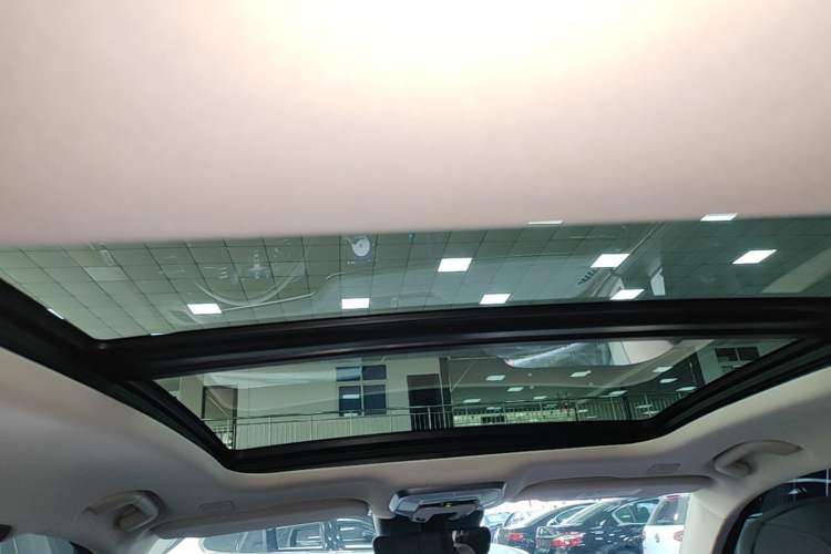 Used Hongqi H9 2022 2.0T Smart Connect Flagship Edition Headliner
