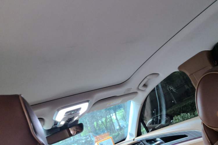 Used Hongqi H9 2022 2.0T Smart Connect Flagship Edition Headliner