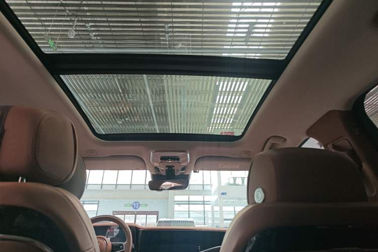 Used Hongqi H9 2022 2.0T Smart Connect Flagship Edition Headliner