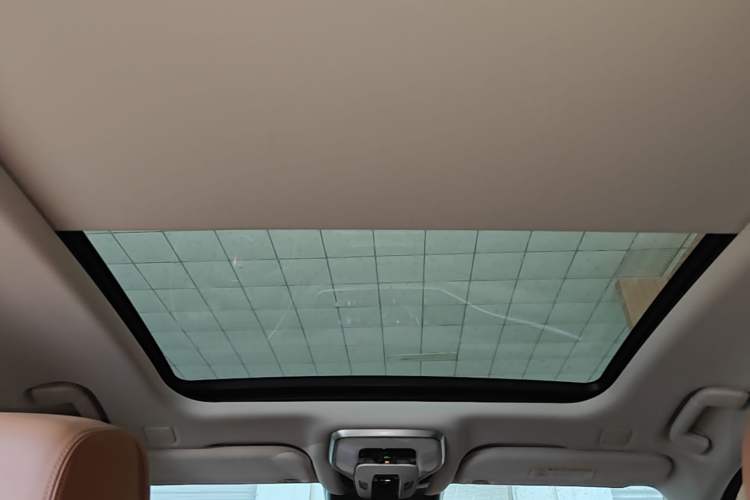 Used Hongqi H9 2022 2.0T Smart Connect Flagship Edition Headliner