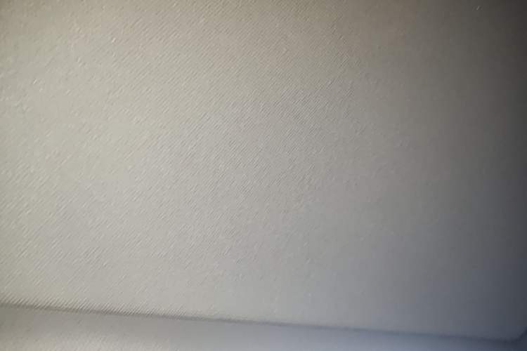 Used Hongqi H9 2022 2.0T Smart Connect Flagship Edition Headliner