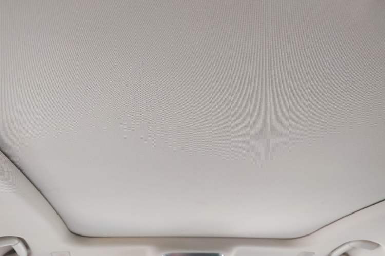 Used Hongqi H9 2022 2.0T Smart Connect Flagship Edition Headliner
