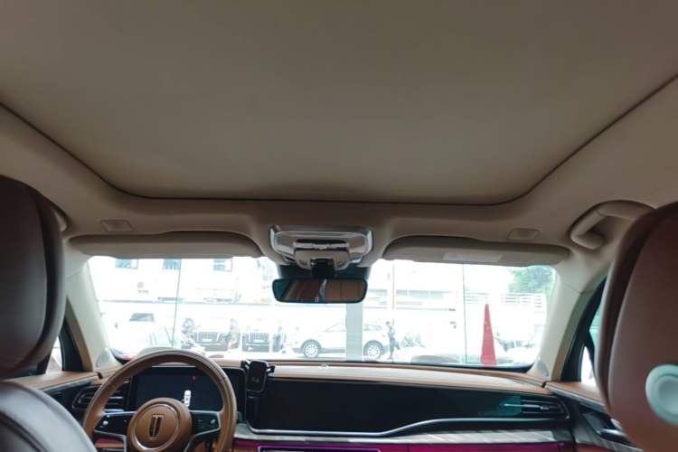 Used Hongqi H9 2022 2.0T Smart Connect Flagship Edition Headliner