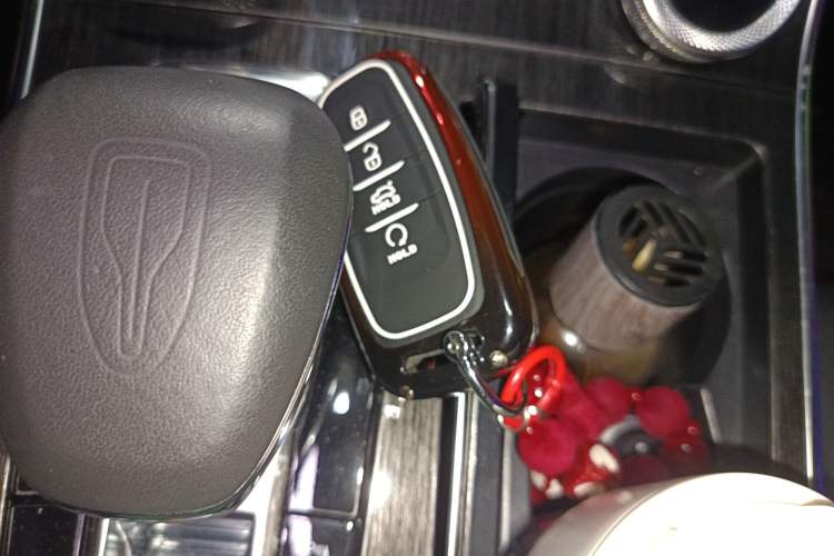 Used Hongqi H9 2022 2.0T Smart Connect Flagship Edition Interior 1