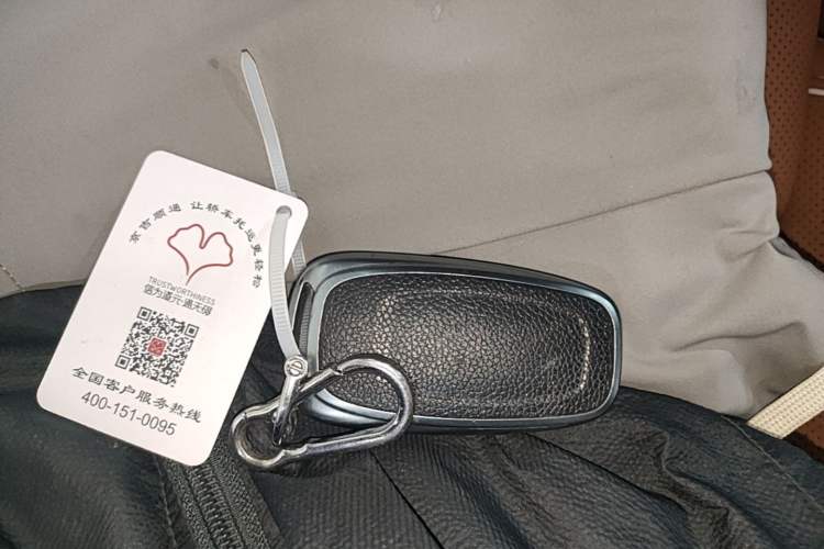 Used Hongqi H9 2022 2.0T Smart Connect Flagship Edition Interior 1