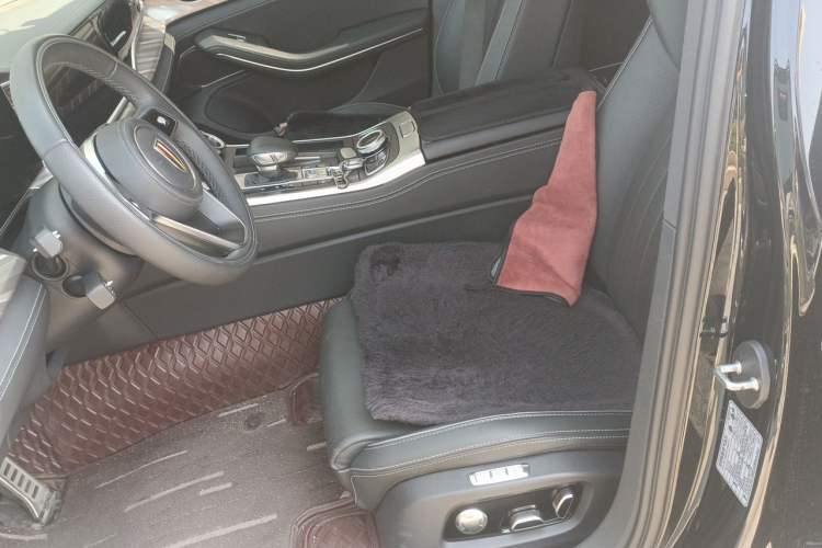 Used Hongqi H9 2022 2.0T Smart Connect Flagship Edition Left Front Seat