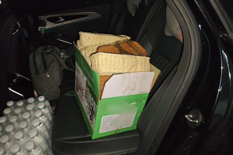 Used Hongqi H9 2022 2.0T Smart Connect Flagship Edition Left Rear Seat