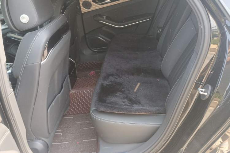 Used Hongqi H9 2022 2.0T Smart Connect Flagship Edition Left Rear Seat