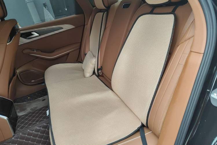 Used Hongqi H9 2022 2.0T Smart Connect Flagship Edition Left Rear Seat