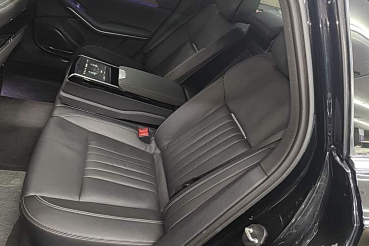 Used Hongqi H9 2022 2.0T Smart Connect Flagship Edition Left Rear Seat