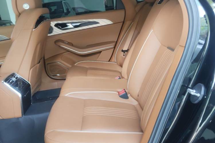 Used Hongqi H9 2022 2.0T Smart Connect Flagship Edition Left Rear Seat