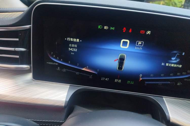 Used Hongqi H9 2022 3.0T H9+ Premium Custom Edition Odometer Close Up