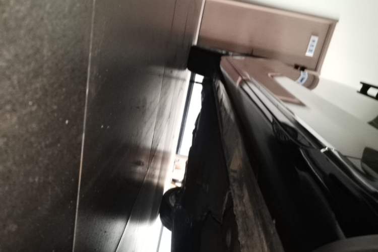 Used Hongqi H9 2022 2.0T Smart Connect Flagship Edition Right Side Sill