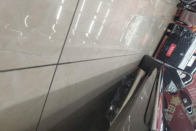 Used Hongqi H9 2022 2.0T Smart Connect Flagship Edition Right Side Sill