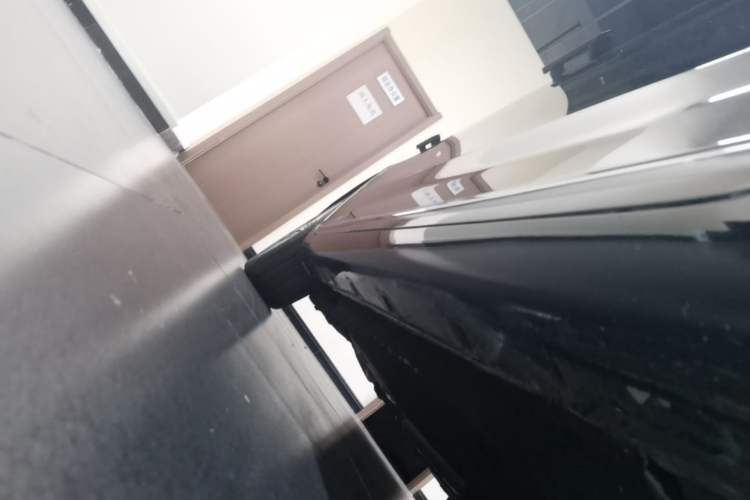 Used Hongqi H9 2022 2.0T Smart Connect Flagship Edition Right Side Sill