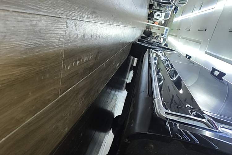 Used Hongqi H9 2022 2.0T Smart Connect Flagship Edition Right Side Sill