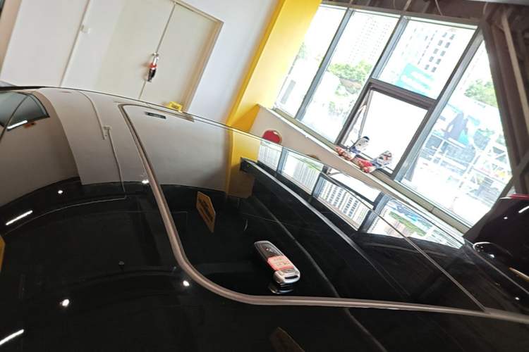Used Hongqi H9 2022 2.0T Smart Connect Flagship Edition Roof