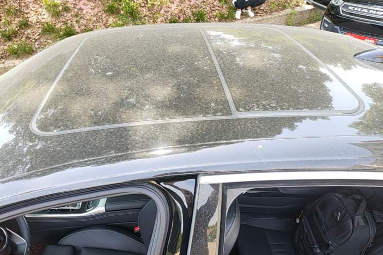 Used Hongqi H9 2022 2.0T Smart Connect Flagship Edition Roof