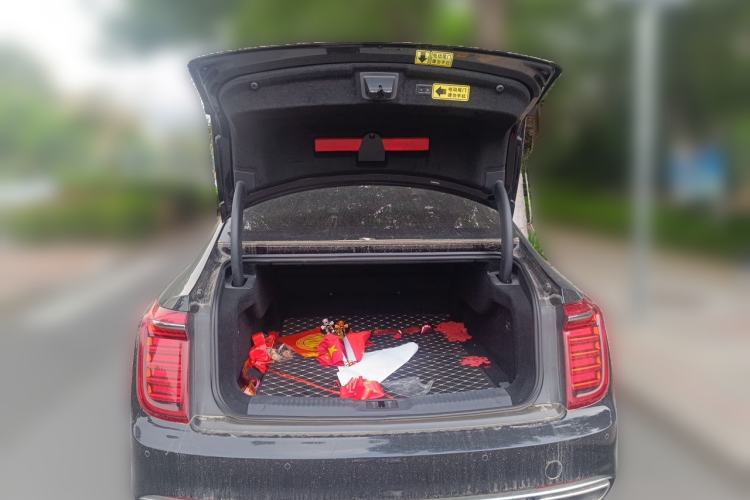 Used Hongqi H9 2022 2.0T Smart Connect Flagship Edition Trunk