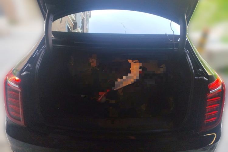 Used Hongqi H9 2022 3.0T H9+ Premium Custom Edition Trunk