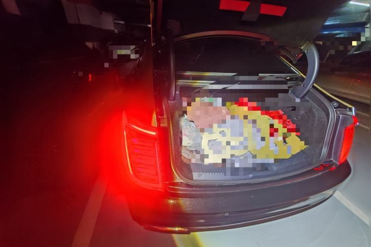 Used Hongqi H9 2022 2.0T Smart Connect Flagship Edition Trunk