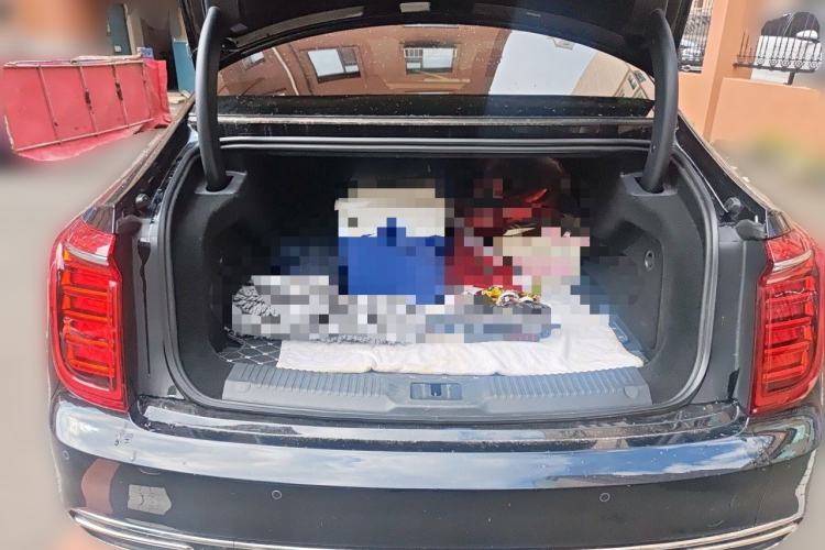 Used Hongqi H9 2022 2.0T Smart Connect Flagship Edition Trunk