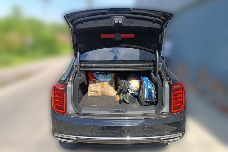 Used Hongqi H9 2022 2.0T Smart Connect Flagship Edition Trunk