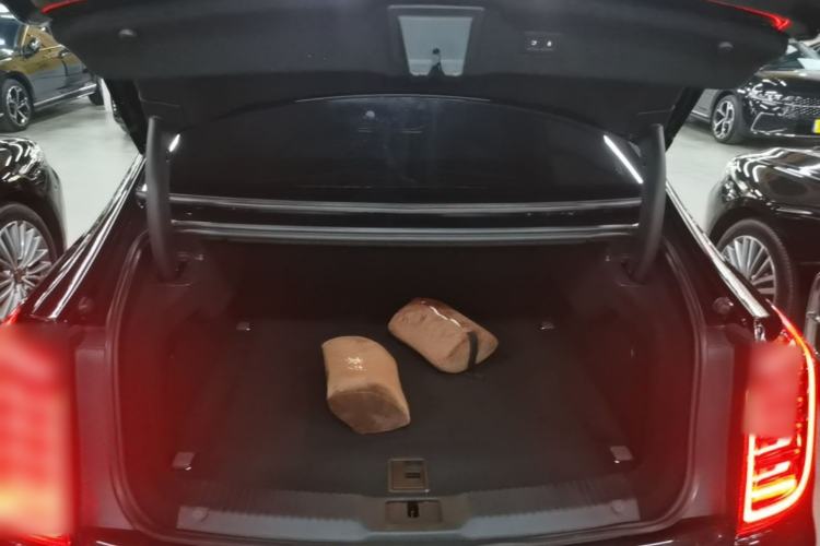 Used Hongqi H9 2022 2.0T Smart Connect Flagship Edition Trunk