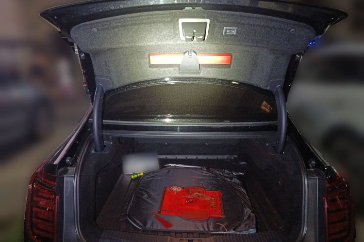 Used Hongqi H9 2022 2.0T Smart Connect Flagship Edition Trunk