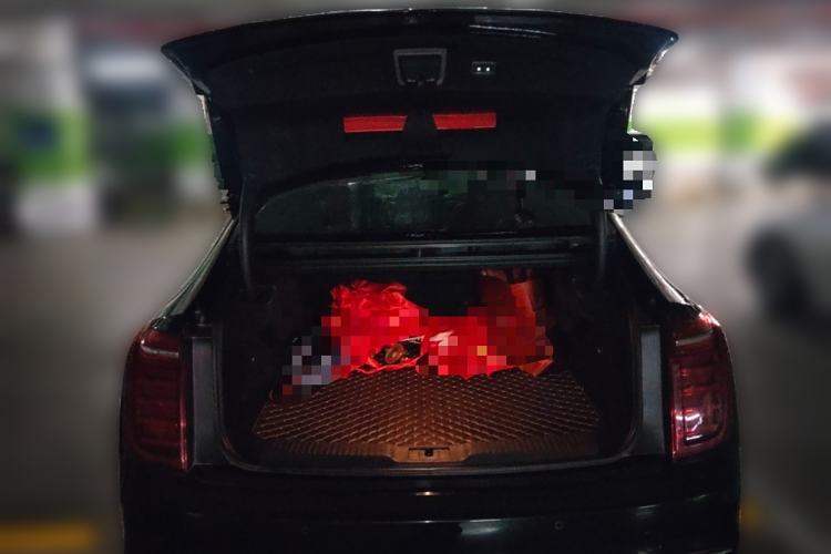 Used Hongqi H9 2022 2.0T Smart Connect Flagship Edition Trunk