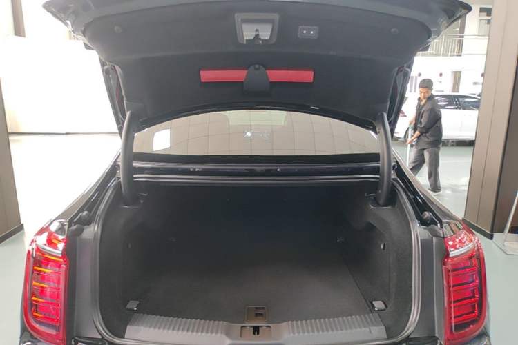 Used Hongqi H9 2022 2.0T Smart Connect Flagship Edition Trunk
